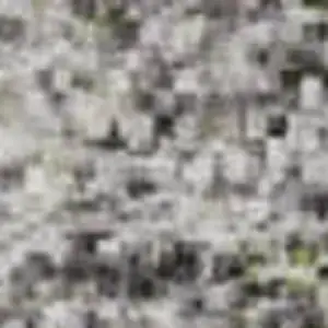 Photo of Linen Green And Blue Abstract Washable Area Rug With UV Protection