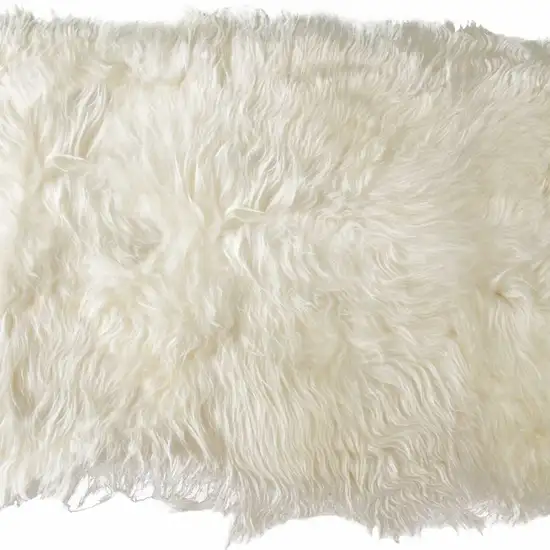 Long Haired Icelandic Sheepskin Area Rug Photo 3