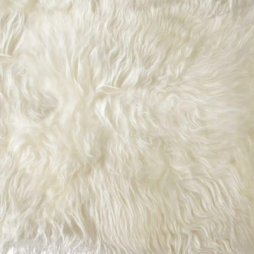 Long Haired Icelandic Sheepskin Area Rug Photo 2