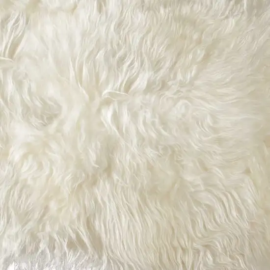Long Haired Icelandic Sheepskin Area Rug Photo 2