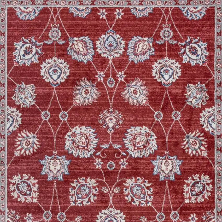 Medallion Area Rug Photo 4