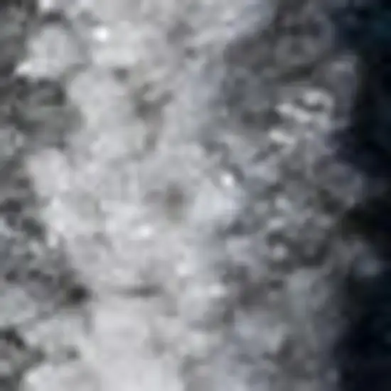 Medallion Area Rug Photo 3