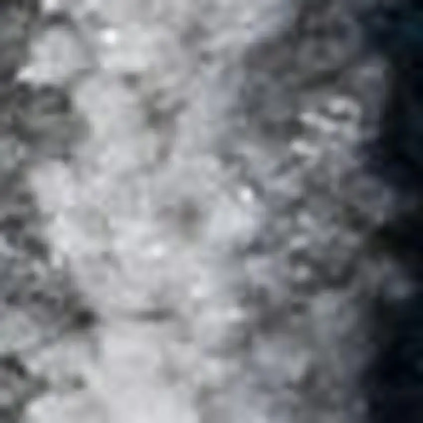 Medallion Area Rug Photo 3