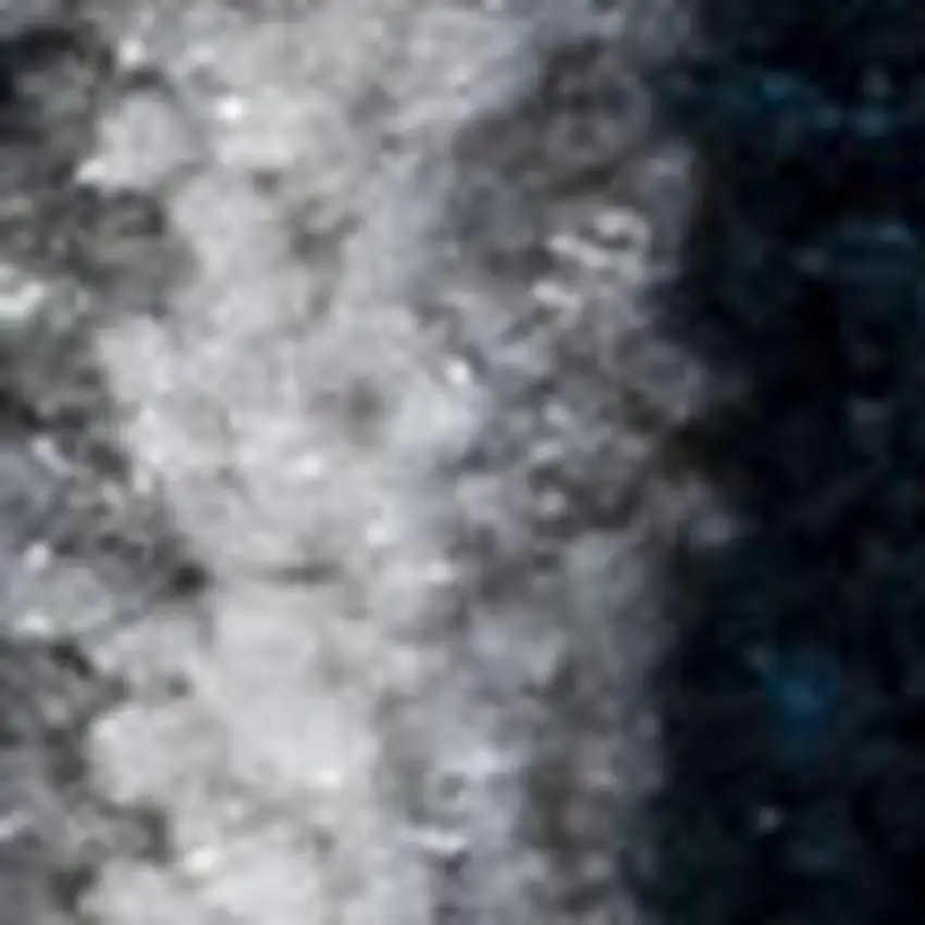 Medallion Area Rug Photo 4