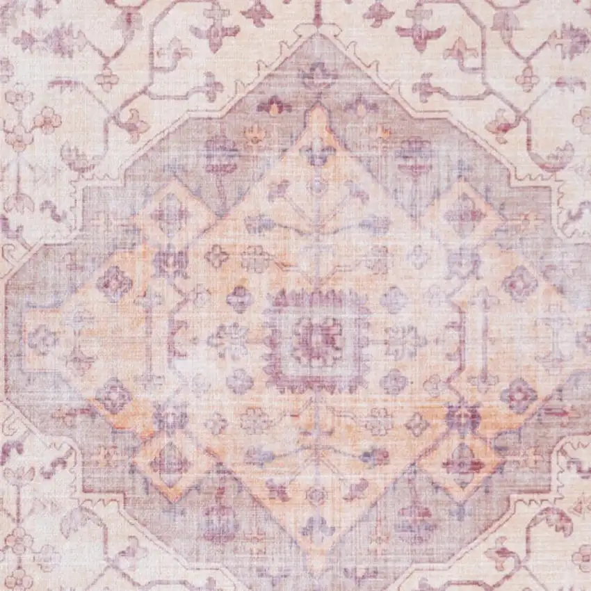 Medallion Area Rug Photo 3