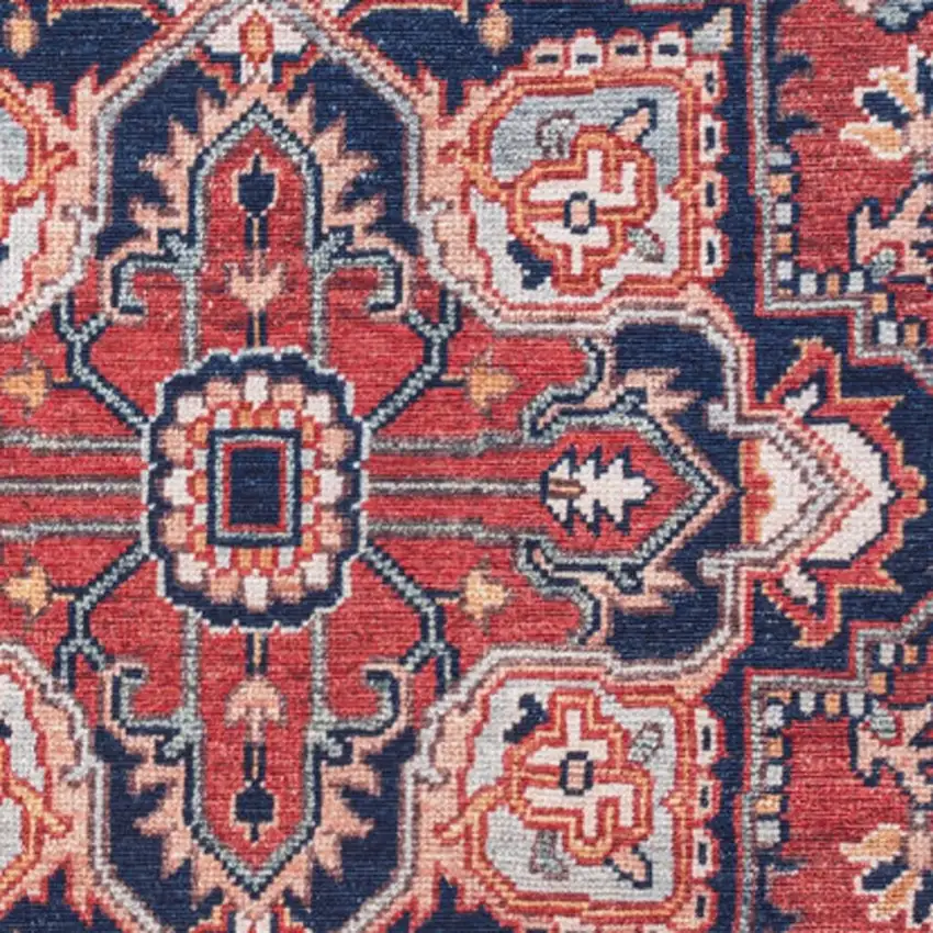 Medallion Area Rug Photo 3