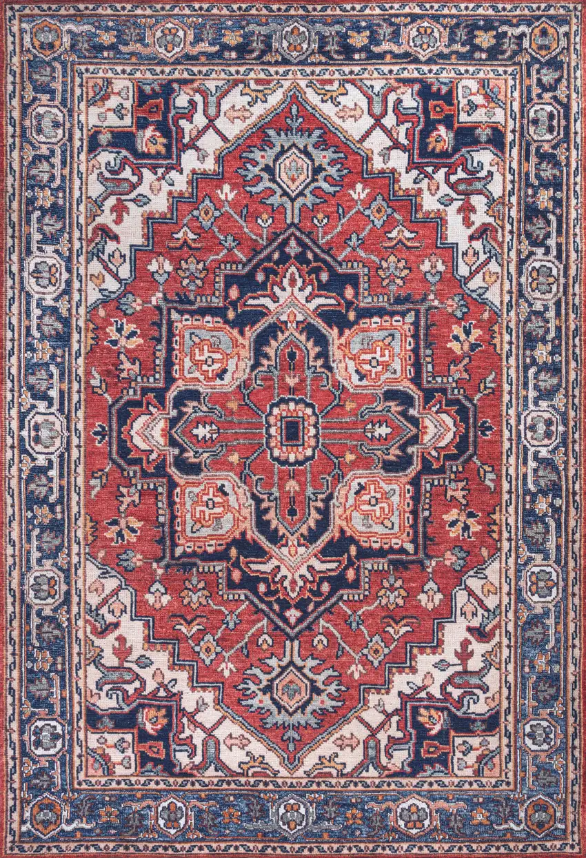 Medallion Area Rug Photo 4