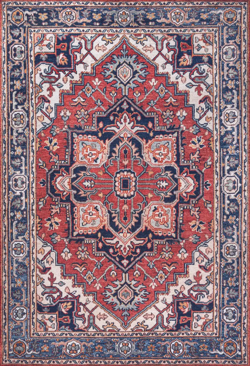 Medallion Area Rug Photo 2
