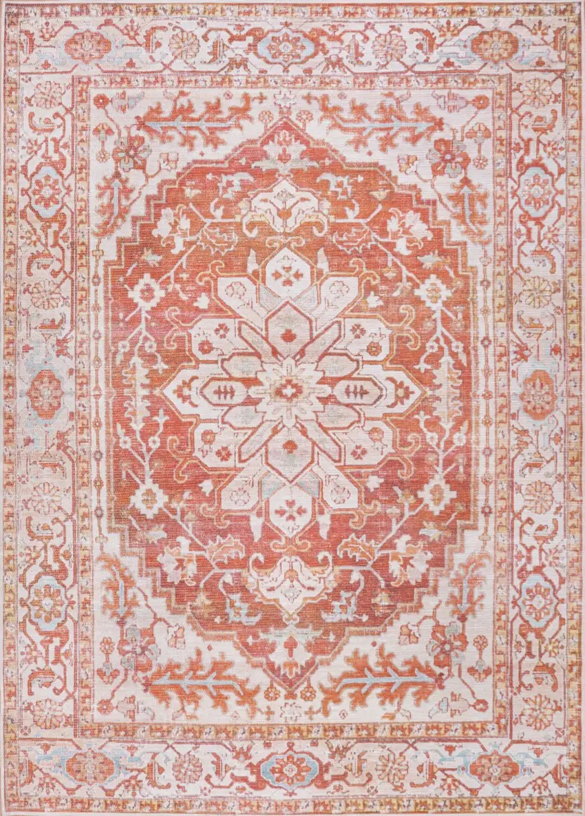 Medallion Area Rug Photo 4