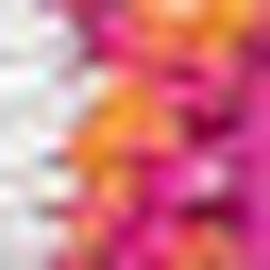 Medallion Area Rug Photo 4