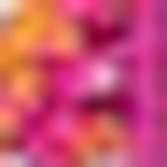 Medallion Area Rug Photo 3