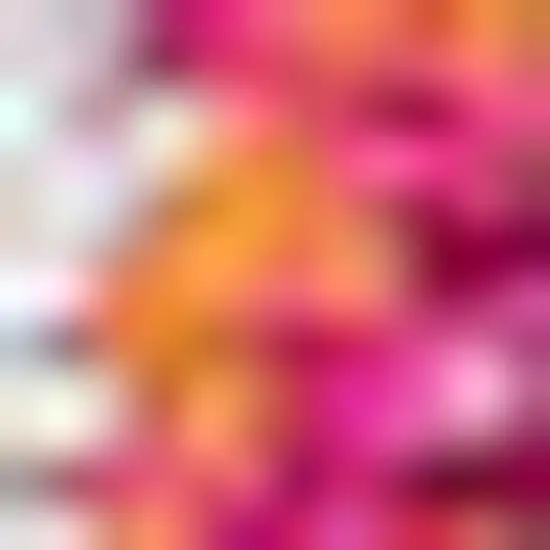 Medallion Area Rug Photo 3