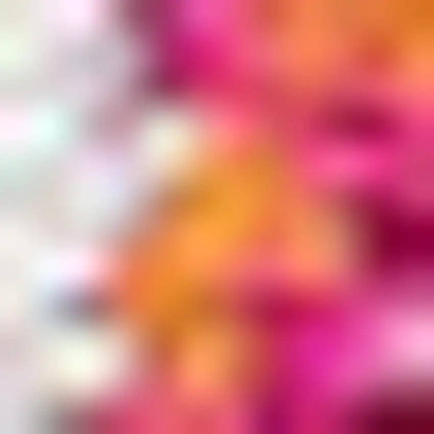 Medallion Area Rug Photo 3