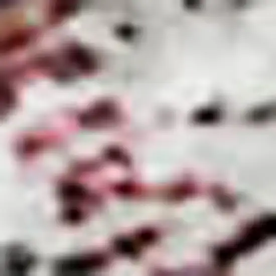 Merlot And Gray Abstract Washable Area Rug With UV Protection Photo 3