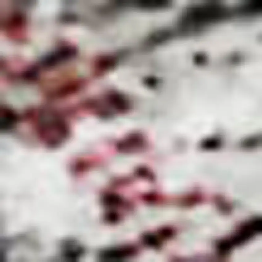 Merlot And Gray Abstract Washable Area Rug With UV Protection Photo 3