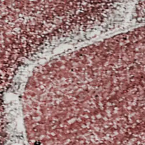 Merlot And Ivory Abstract Washable Area Rug With UV Protection Photo 5