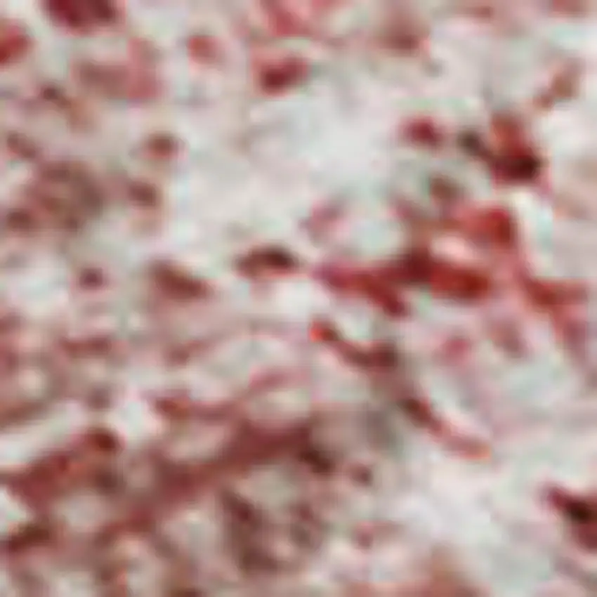 Merlot And Ivory Abstract Washable Area Rug With UV Protection Photo 4