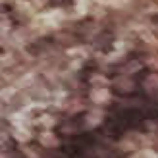 Merlot And Pink Oriental Washable Area Rug With UV Protection Photo 2