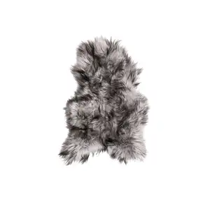 Photo of Metallic Silver Sheepskin Single Long-Haired - Area Rug