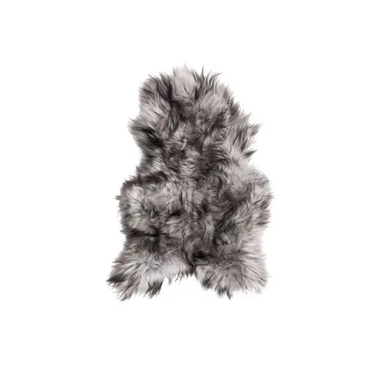 Metallic Silver Sheepskin Single Long-Haired - Area Rug Photo 1