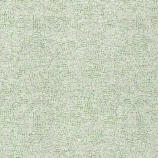 Mint Green And Ivory Geometric Washable Indoor Outdoor Area Rug Photo 5
