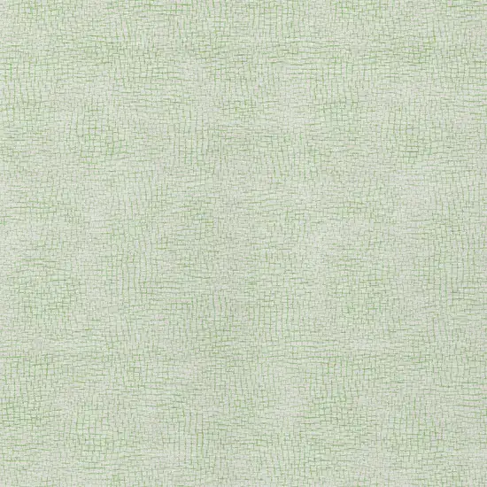 Mint Green And Ivory Geometric Washable Indoor Outdoor Area Rug Photo 5