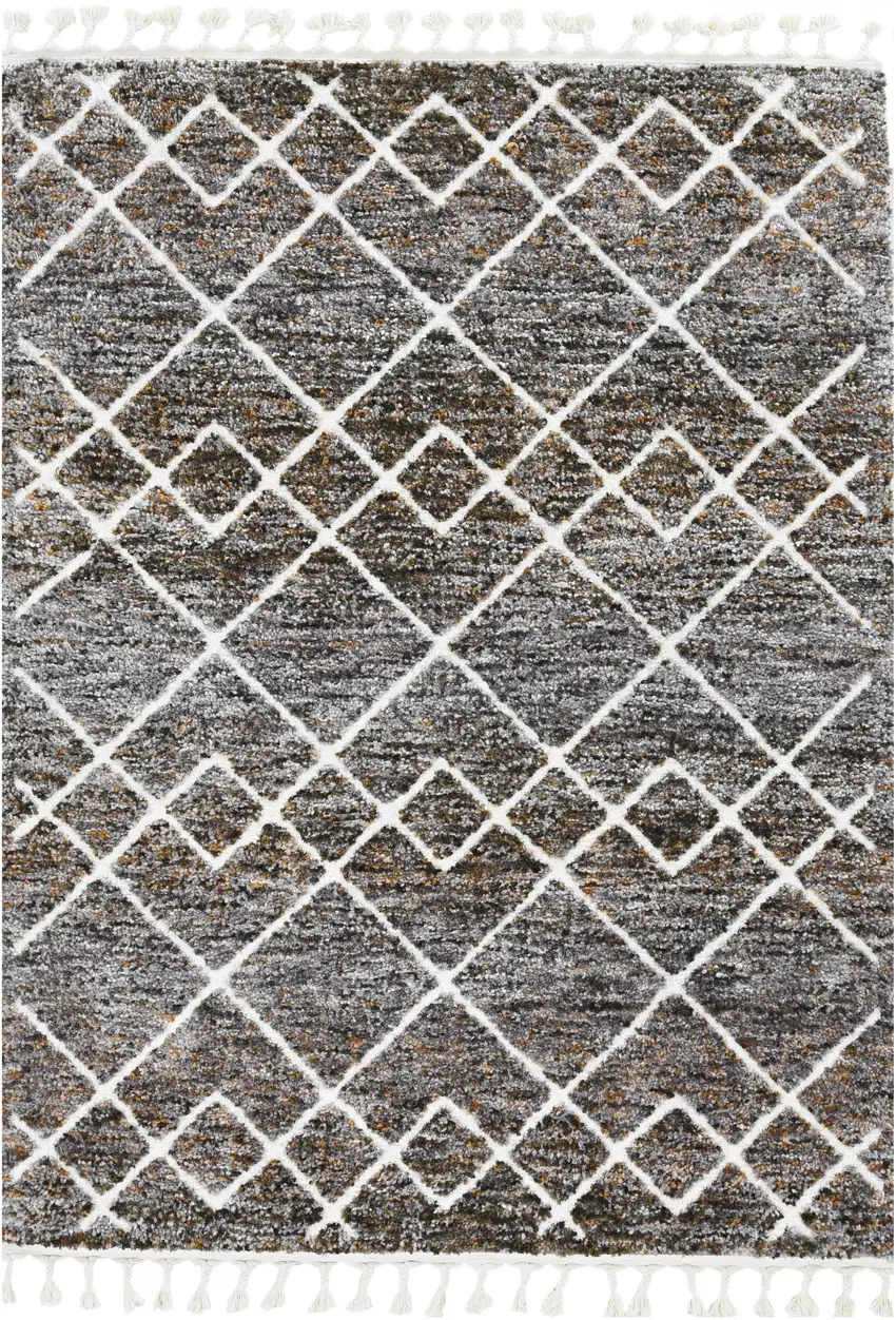 Brown Area Rug Photo 2