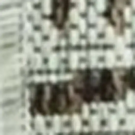 Brown And Ivory Geometric Area Rug Photo 9