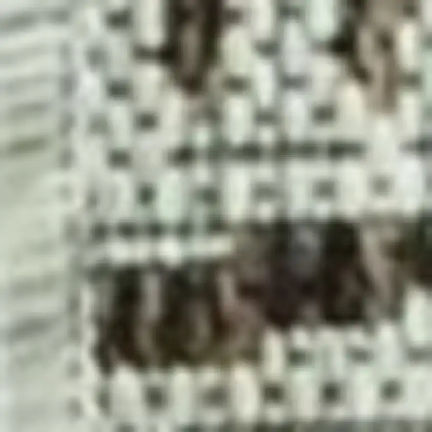 Brown And Ivory Geometric Area Rug Photo 9