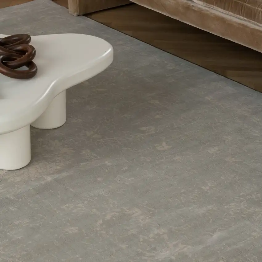 Modern Gray Distressed Area Rug Photo 7