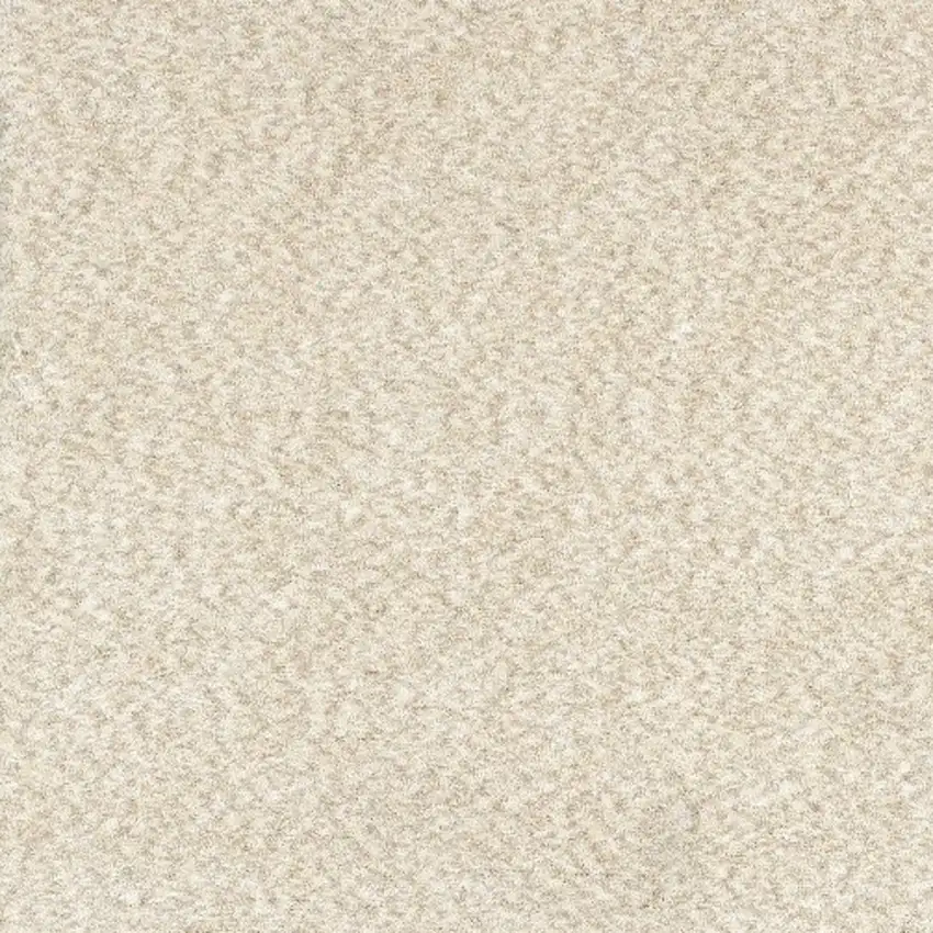 Modern Shag Ivory Indoor Area Rug Photo 4
