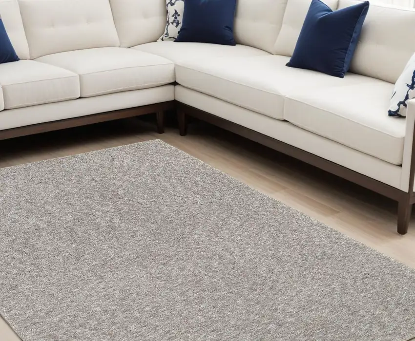 Modern Shaggy Soft Gray Indoor Area Rug Photo 1