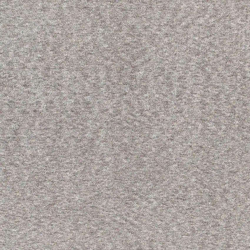 Modern Shaggy Soft Gray Indoor Area Rug Photo 4