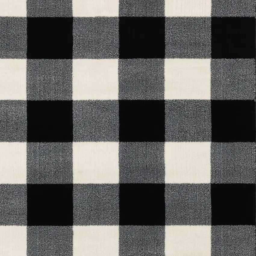 Monochromatic Gingham Pattern Indoor Area Rug Photo 5