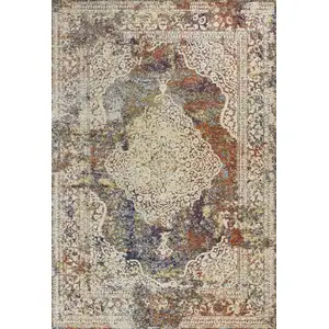 Photo of Multi Color Vintage Bordered Indoor Area Rug