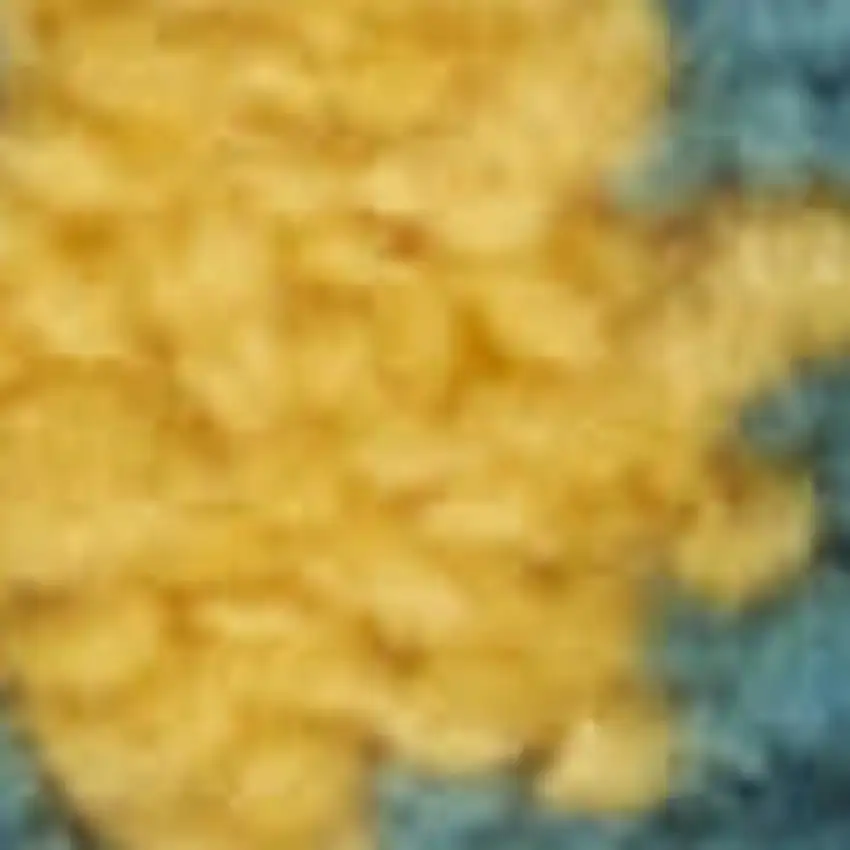 Yellow And Ivory Indoor Outdoor Area Rug Photo 1