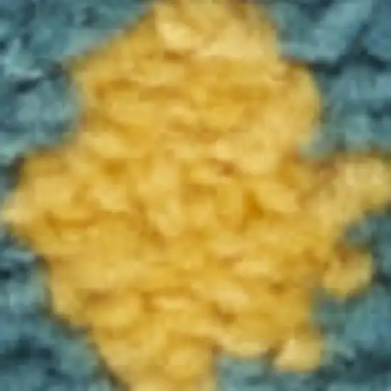 Yellow And Ivory Indoor Outdoor Area Rug Photo 3