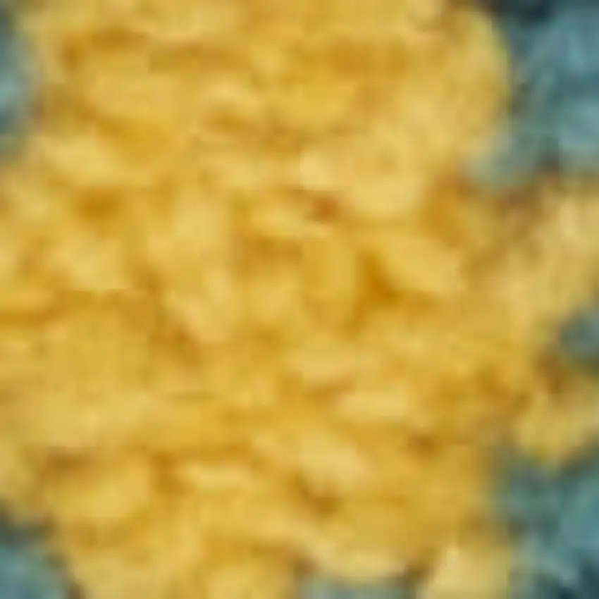 Yellow And Ivory Indoor Outdoor Area Rug Photo 1