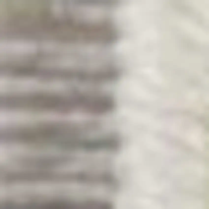 Ivory And Blue Ogee Distressed Area Rug Photo 5