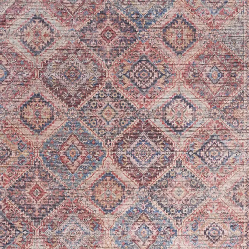 Multicolor Oriental Power Loom Distressed Washable Area Rug Photo 3