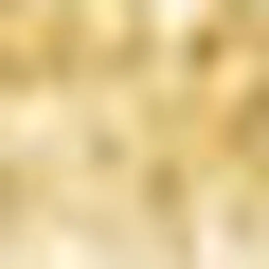 Mustard Area Rug Photo 3