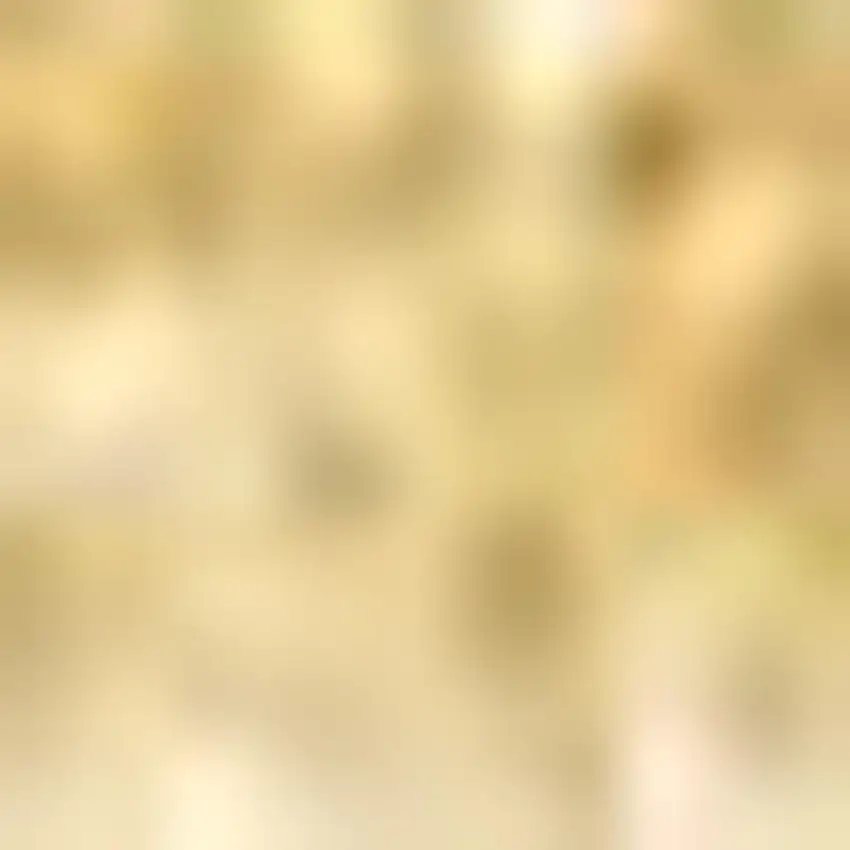 Mustard Area Rug Photo 3