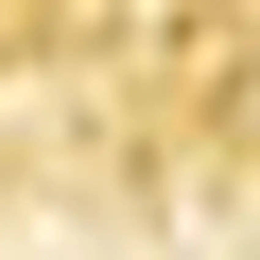 Mustard Area Rug Photo 3