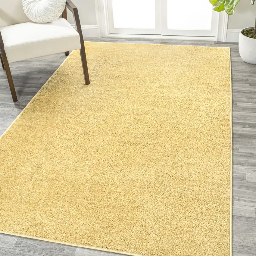 Mustard Area Rug Photo 5