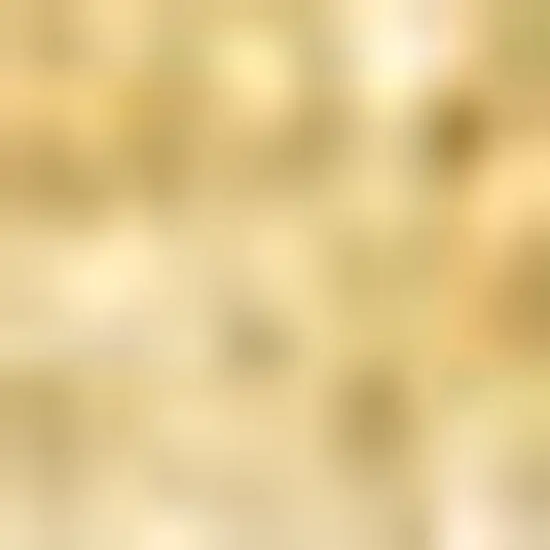 Mustard Area Rug Photo 3