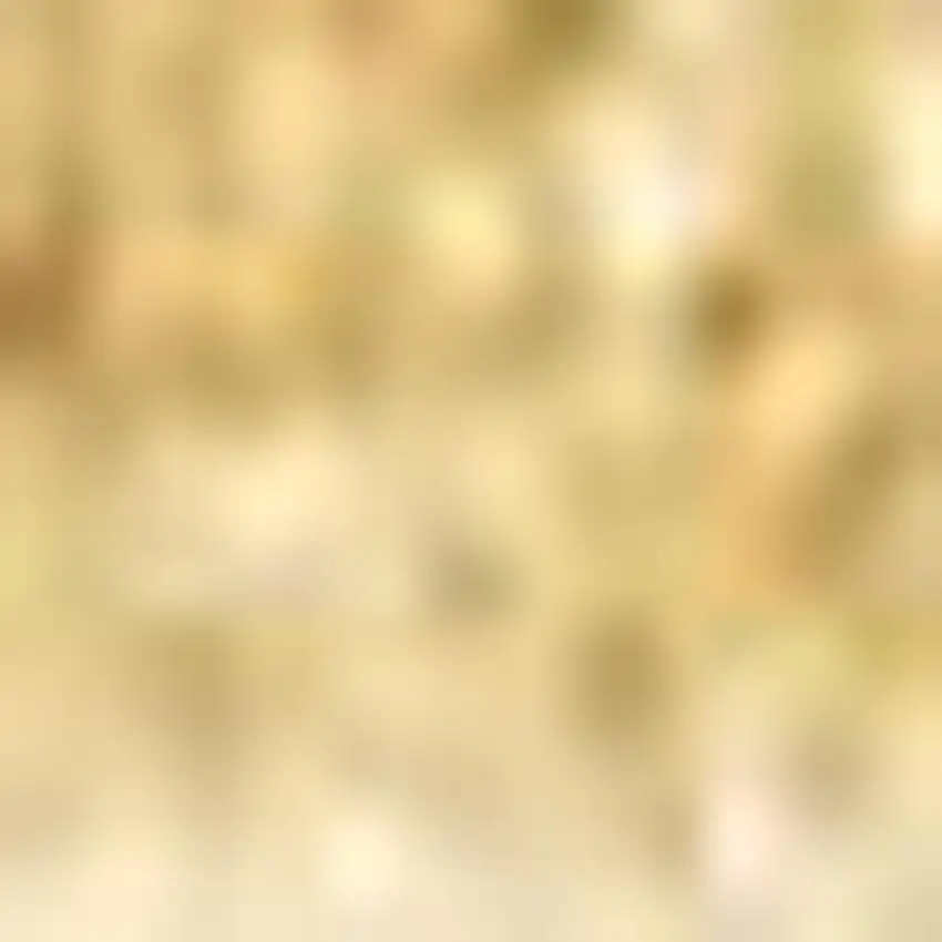 Mustard Area Rug Photo 4