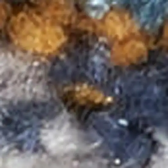 Gray And Ivory Geometric Distressed Area Rug Photo 3