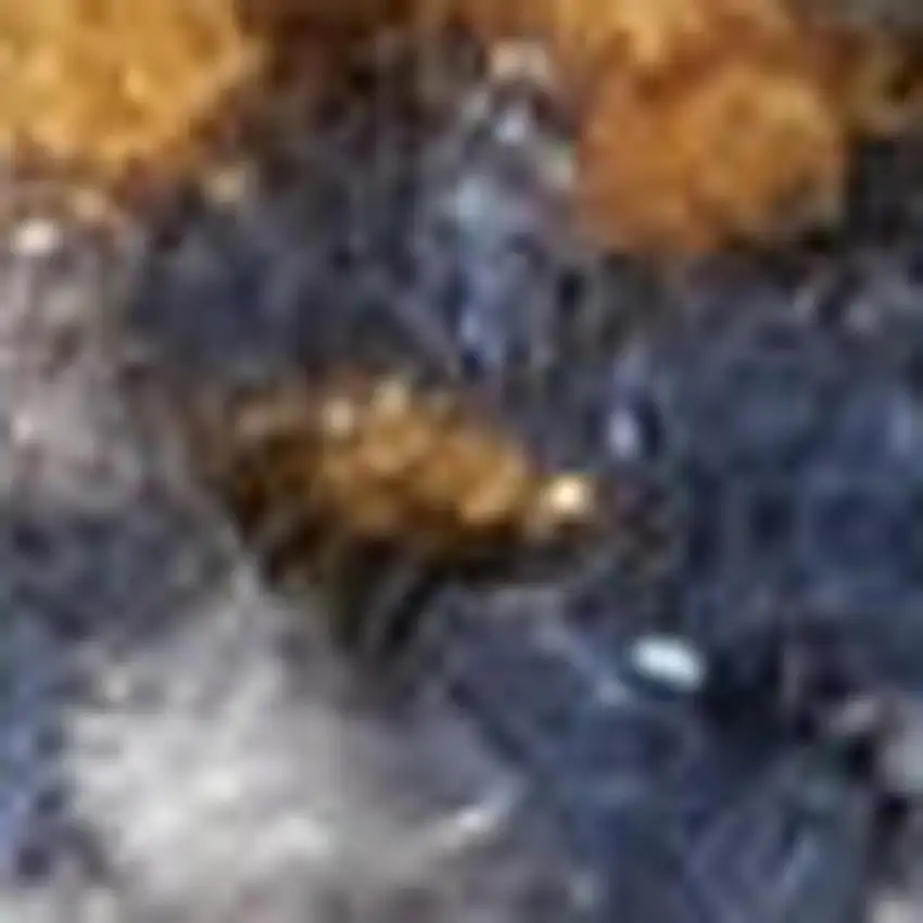 Gray And Ivory Geometric Distressed Area Rug Photo 1