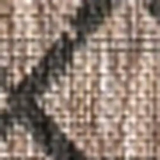 Natural And Black Trellis Indoor Outdoor Area Rug Photo 2