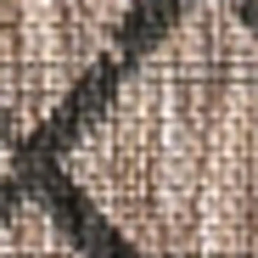 Natural And Black Trellis Indoor Outdoor Area Rug Photo 2